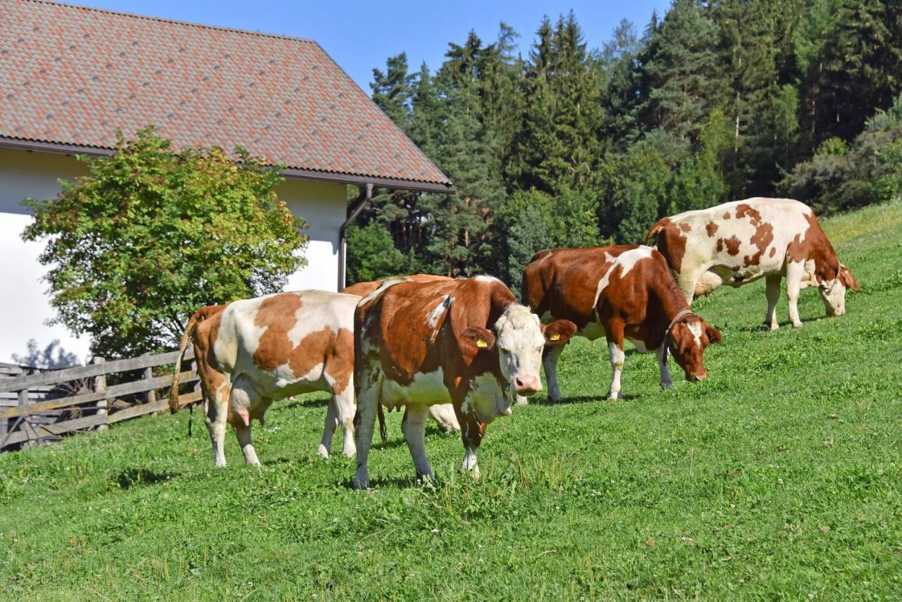 Fuchshof Villa Perca Dış mekan fotoğraf