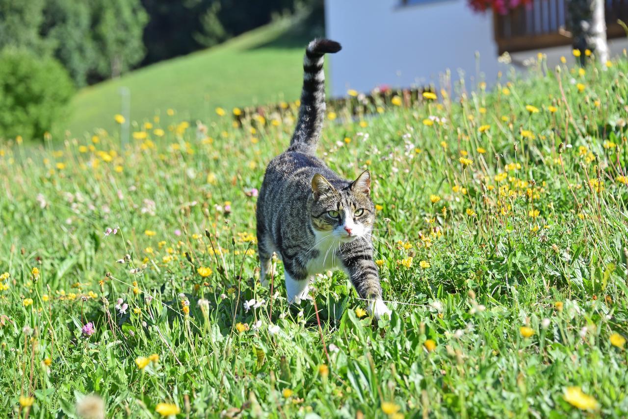 Fuchshof Villa Perca Dış mekan fotoğraf